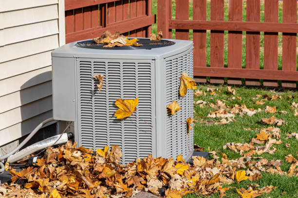 Best HVAC Maintenance Near Me  in Agler Beach, FL